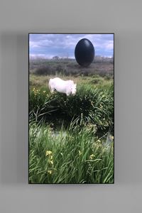 Camargue Horse by Rachel Rose contemporary artwork sculpture, moving image