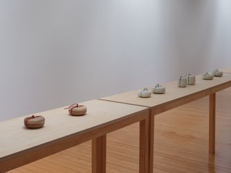 Exhibition view: Lauren Winstone, Gathering and Scattering, Two Rooms, Auckland (19 March–17 April 2021). Courtesy Two Rooms. 