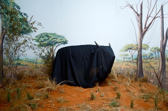 In the Days of a Dark Safari by Kiluanji Kia Henda contemporary artwork