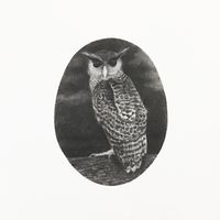 Sri Lankan Bird (Forest Eagle Owl) by Muhanned Cader contemporary artwork painting, works on paper, drawing