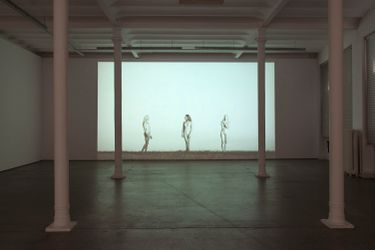 Exhibition view: Sophie Nys, Galerie Greta Meert, Brussels (7 February–5 April 2014). Courtesy Galerie Greta Meert