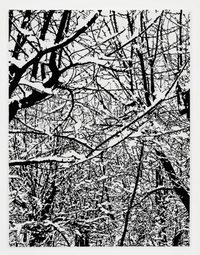 SNOW FOREST 002A by Farhad Moshiri contemporary artwork mixed media, textile, textile, textile