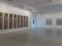 Contemporary art exhibition, Antonio Puri, Antonio Puri at Sundaram Tagore Gallery, Singapore