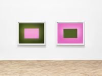 The Colour Fields: green encloses the softest pink / pink enclosing the green field (diptych) by Garry Fabian Miller contemporary artwork photography
