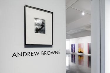 Exhibition view: Andrew Browne, Shoegazer 2.0, Tolarno Galleries, Melbourne (22 May–19 June 2021). Courtesy Tolarno Galleries. Photo: Andrew Curtis.