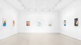 Contemporary art exhibition, Emily Eveleth, Twenty Paintings at Miles McEnery Gallery, 520 West 21st Street, New York, United States