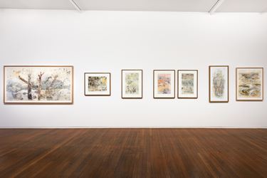 Exhibition view: John Wolseley, One Hundred and One Insect Life Stories, Roslyn Oxley9 Gallery, Sydney (21 March–13 April 2019). Courtesy Roslyn Oxley9 Gallery. Photo: Luis Power