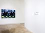 Contemporary art exhibition, Roger Brown, Roger Brown: La Conchita at Kavi Gupta, Elizabeth St, Chicago, United States