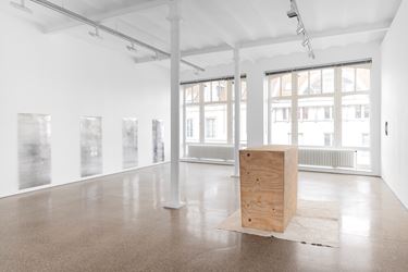 Exhibition view: Valerie Krause, blank spot, Galerie Greta Meert, Brussels (6 February–21 March 2020). Courtesy Galerie Greta Meert.
