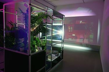 Exhibition view: James Clar, The World Never Ends, Jane Lombard Gallery, New York (6 September–20 October 2018). Courtesy Jane Lombard Gallery.