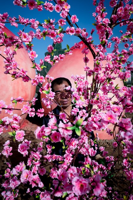 Peach Blossom 桃 by Feng Li contemporary artwork