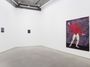 Contemporary art exhibition, Felipe Baeza, Unruly Suspension at Maureen Paley, London, United Kingdom