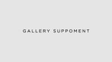 Gallery Suppoment contemporary art gallery in Seoul, South Korea