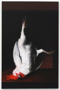 Dead Cock (Donald) (after Metsu) by Mircea Suciu contemporary artwork painting, works on paper