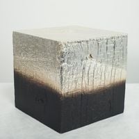 Shou Sugi Ban Silver Redwood 12.3 by Miya Ando contemporary artwork sculpture