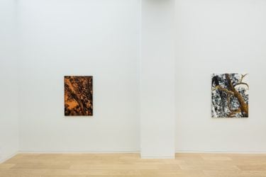 Exhibition view: William Mackinnon, Modern Family, Simon Lee Gallery, Hong Kong (20 May–25 June 2022). Courtesy Simon Lee Gallery.