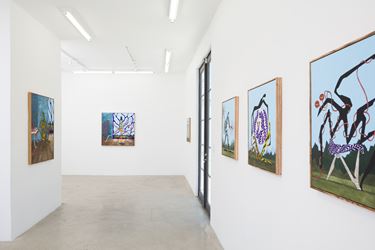 Exhibition view: Alejandro Cardenas, Calusa Garden, AE2, Los Angeles (8 June–13 July 2019). Courtesy Anat Ebgi, Los Angeles.