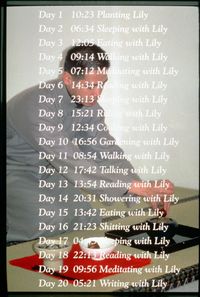 100 Days with Lily by Lee Mingwei contemporary artwork photography