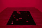 Time paradox by Yuki Kimura contemporary artwork 1