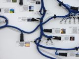 Creation Story Cable Harness 4 by Simon Denny & Karamia Müller contemporary artwork 3