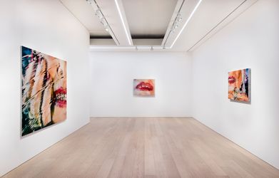 Exhibition view: Marilyn Minter, Lehmann Maupin Seoul (7 March–27 April 2024). Courtesy the artist, Salon 94, New York; Regen Projects, Los Angeles; Lehmann Maupin, New York, Seoul, and London; and Baldwin Gallery, Aspen. Photo: OnArt Studio.