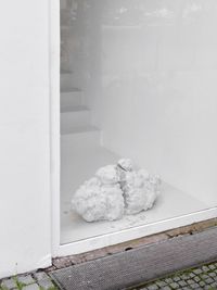 The Hatching of the Cloud/The Archeology of the Sky by Fabrice Samyn contemporary artwork sculpture