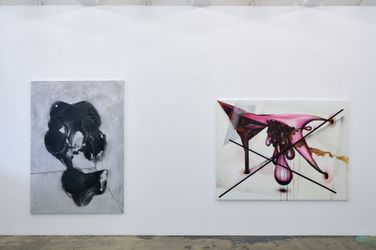 Exhibition view: Piotr Janas, Thomas Erben Gallery, New York (21 April–21 May 2022). Courtesy Thomas Erben Gallery.