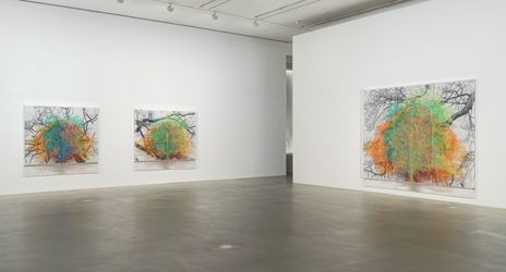 Exhibition view: Charles Gaines, Multiples of Nature, Trees and Faces, Hauser & Wirth, London (online from 29 January–1 May 2021). © Charles Gaines. Courtesy the artist and Hauser & Wirth. Photo: Alex Delfanne.