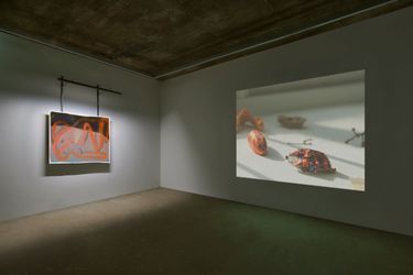 Exhibition view: Dasom Park, Drive, GALLERY2, Seoul (12 January–11 February 2023). Courtesy GALLERY2.