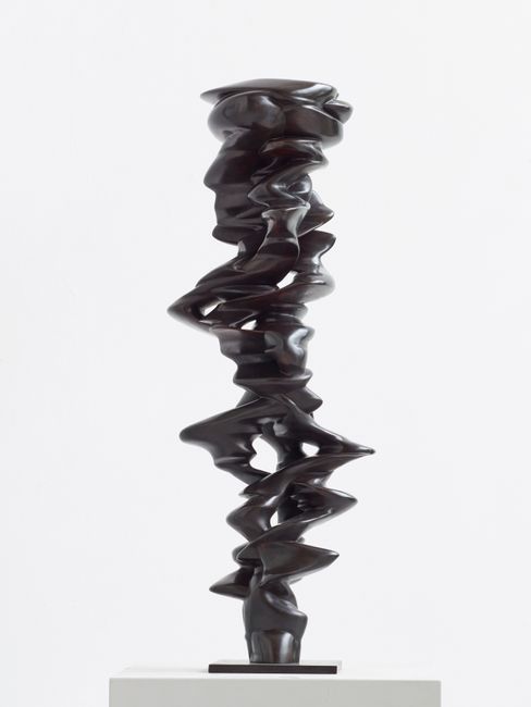 Untitled by Tony Cragg contemporary artwork