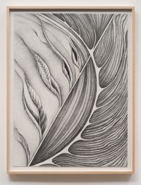Fossil #5 (Unfolding) by Faith Wilding contemporary artwork works on paper, drawing