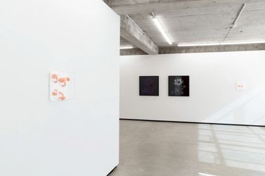 Exhibition view: Caitlin Devoy and Hye Rim Lee, The Rose, and her Thorns, Jhana Millers, Wellington (16 March–8 April 2023). Courtesy Jhana Millers.