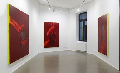 Exhibition view: Daniel Lergon, Crimson, Galerie Christian Lethert, Cologne (12 April–28 June 2019). Courtesy Galerie Christian Lethert. Photo: Simon Vogel.