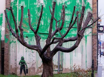 Banksy Gives North London Cherry Tree Graffiti Foliage