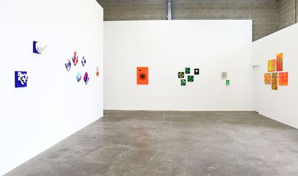 Exhibition view, Judy Darragh, Ummm, 2017, at Jonathan Smart Gallery, Christchurch. Image courtesy Jonathan Smart Gallery.