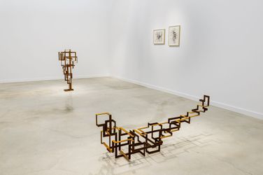 Exhibition view: Antony Gormley, Strapworks, Off-Site Project, West Palm Beach (23 November—31 December 2021). Courtesy White Cube. 