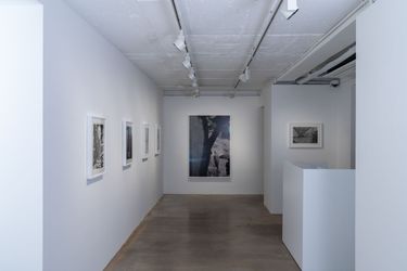 Exhibition view: Han Youngsoo, When The Spring Wind Blows, Baik Art, Seoul (10 November 2022–18 January 2023). Courtesy Baik Art.