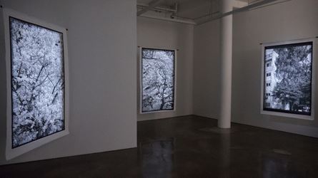 Exhibitioin view: Kim Donki, Trees_seoul, Gallery Chosun, Seoul (3 December–16 December 2020). Courtesy Gallery Chosun.