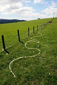 Barbed wire wool, Dumfriesshire, Scotland, 29 May 2018 by Andy Goldsworthy contemporary artwork photography