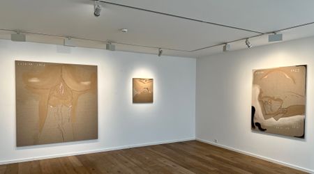Exhibition view: Anouk Lamm Anouk, Lesbian Jazz: Meditating in the Alps, Patricia Low Contemporary, Gstaad (20 August–14 October 2022). Courtesy Patricia Low Contemporary, Gstaad. 