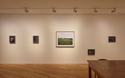 Nao Tsuda “Grassland Tears”, Exhibition view at Taka Ishii Gallery Photography / Film, Feb 20 – Mar 26, 2016 Photo: Kenji Takahashi.