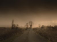#11789-6928 by Todd Hido contemporary artwork photography
