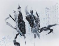 Gardenia- A Garden Full of Blossoms by Chu Chu contemporary artwork painting, works on paper, photography, drawing