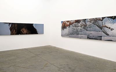 Nathan Pohio, In a Dream of 200,000 Horses, 2016.Exhibition view, Jonathan Smart Gallery, Christchurch. Courtesy Jonathan Smart Gallery, Christchurch.