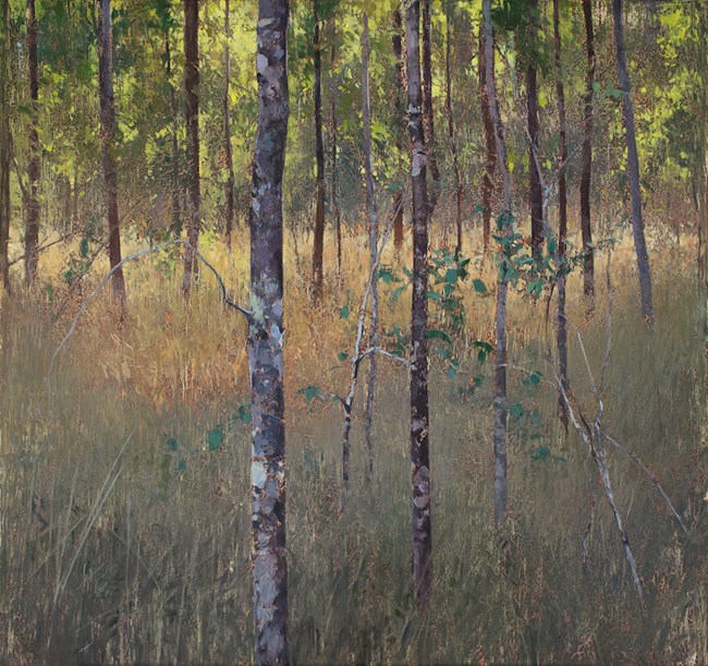 Wattle and Box, Spring Creek by A.J. Taylor contemporary artwork