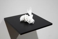 Eidolon #3 by Anne Noble contemporary artwork sculpture