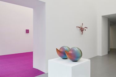 Exhibition view: Vanessa Safavi, I feed my dreams slime at night, Fabienne Levy, Lausanne (23 March–20 May 2023). Courtesy Fabienne Levy. Photo: © Guillaume Python.