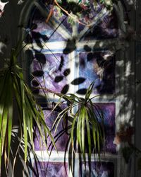 Window, Key Largo by Anastasia Samoylova contemporary artwork print