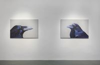Raven Portraits by Elmas Deniz contemporary artwork painting