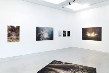Exhibition view: Léonard Pongo, Primordial Earth. Interpretations, Kristof de Clercq Gallery, Ghent (11 December–22 January 2023). Courtesy Kristof de Clercq Gallery.